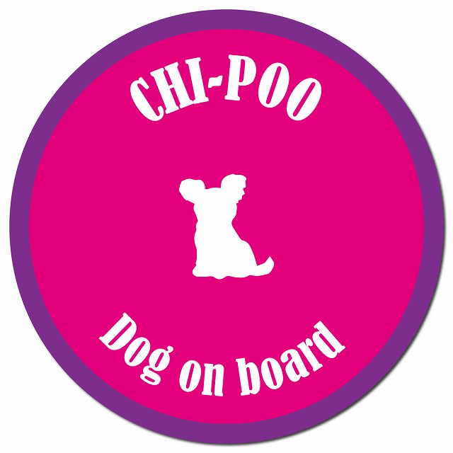 カラフル Dog on board チワプー ピンク&パープル マグネット 車用 直径13cm 丸型 カーマグネット