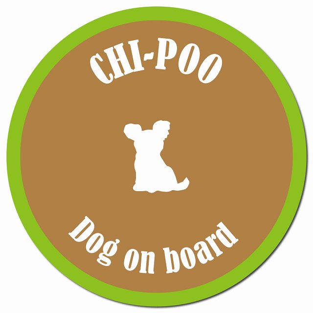 カラフル Dog on board チワプー ブラウン&グリーン マグネット 車用 直径13cm 丸型 カーマグネット