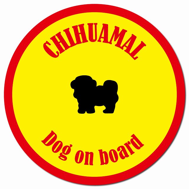 カラフル Dog on board チワマル イエロー&レッド マグネット 車用 直径13cm 丸型 カーマグネット