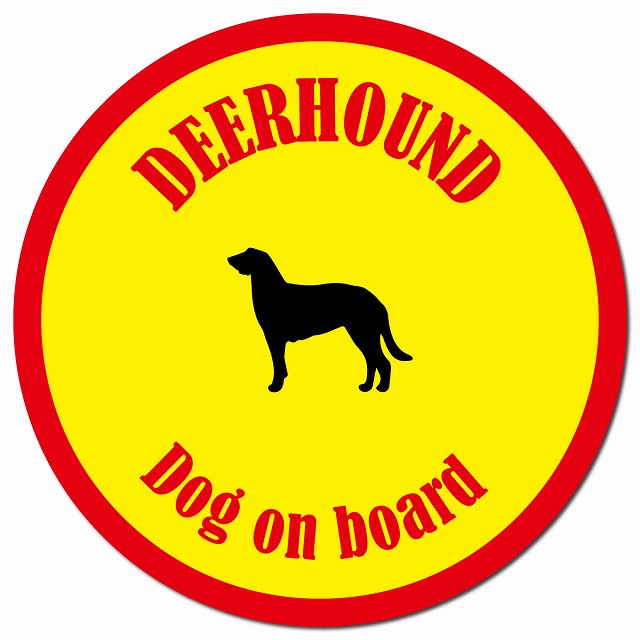 カラフル Dog on board ディアハウンド イエロー&レッド マグネット 車用 直径13cm 丸型 カーマグネット