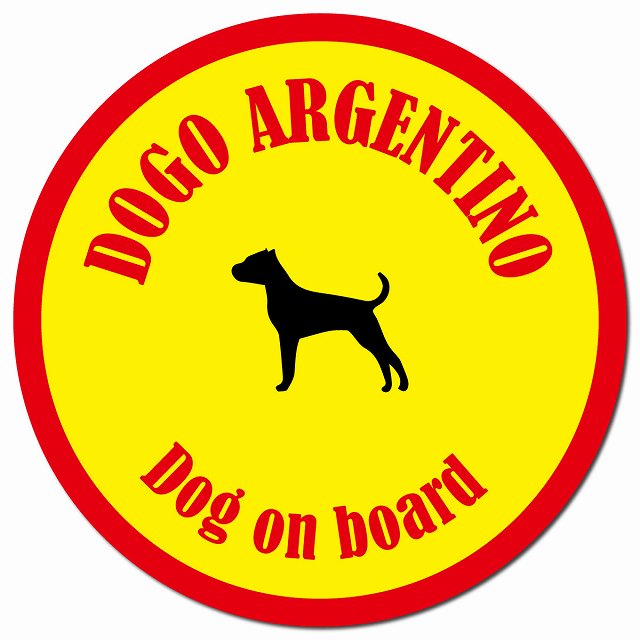 カラフル Dog on board ドゴアルヘンティーノ イエロー&レッド マグネット 車用 直径13cm 丸型 カーマグネット