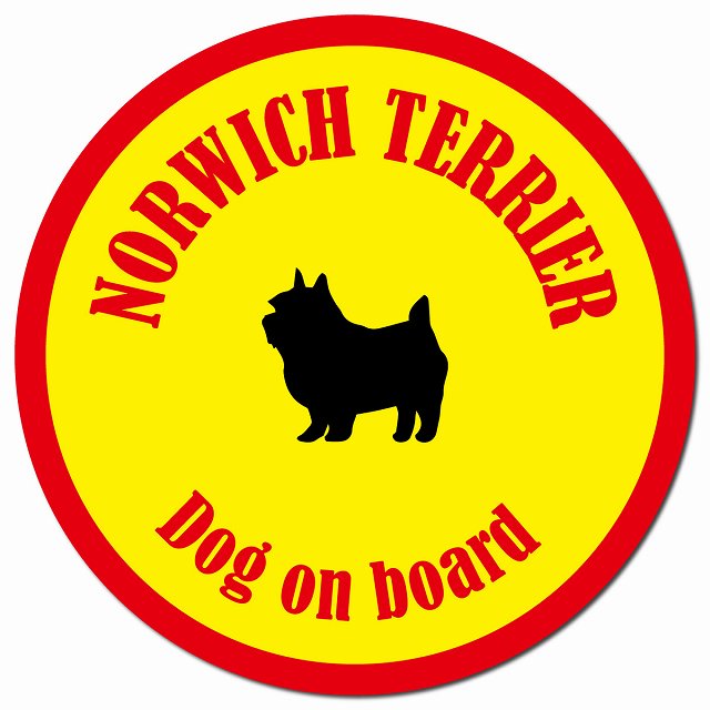 カラフル Dog on board ノーリッチテリア イエロー&レッド マグネット 車用 直径13cm 丸型 カーマグネット