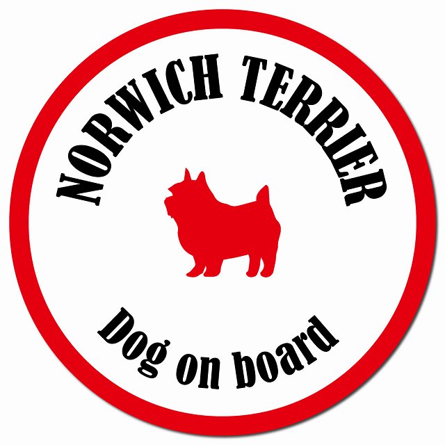 カラフル Dog on board ノーリッチテリア ホワイト&レッド マグネット 車用 直径13cm 丸型 カーマグネット
