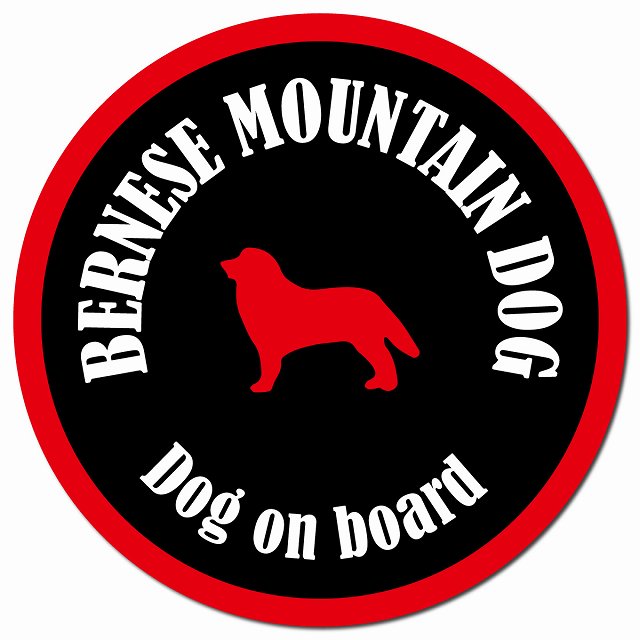 カラフル Dog on board バーニーズマウンテンドッグ ブラック&レッド マグネット 車用 直径13cm 丸型 カーマグネット