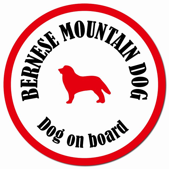 カラフル Dog on board バーニーズマウンテンドッグ ホワイト&レッド マグネット 車用 直径13cm 丸型 カーマグネット
