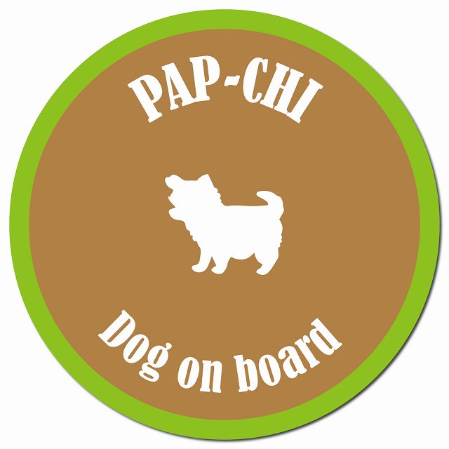 カラフル Dog on board パピチワ ブラウン&グリーン マグネット 車用 直径13cm 丸型 カーマグネット