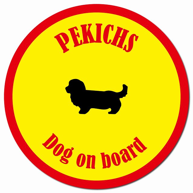カラフル Dog on board ペキックス イエロー&レッド マグネット 車用 直径13cm 丸型 カーマグネット