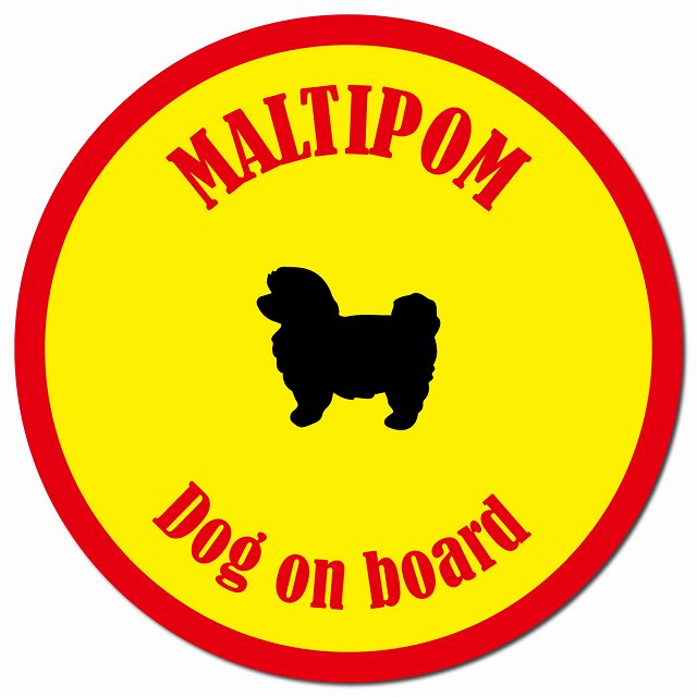 カラフル Dog on board ポメマル イエロー&レッド マグネット 車用 直径13cm 丸型 カーマグネット