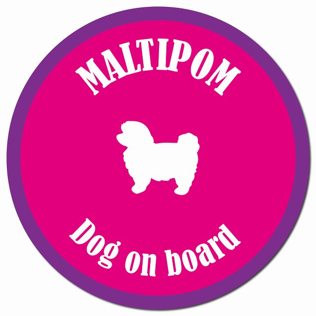 カラフル Dog on board ポメマル ピンク&パープル マグネット 車用 直径13cm 丸型 カーマグネット