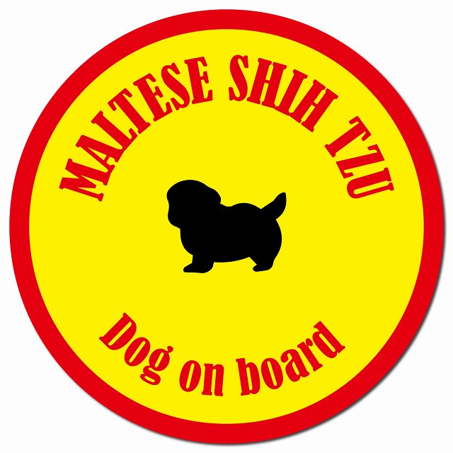 カラフル Dog on board マルシーズー イエロー&レッド マグネット 車用 直径13cm 丸型 カーマグネット