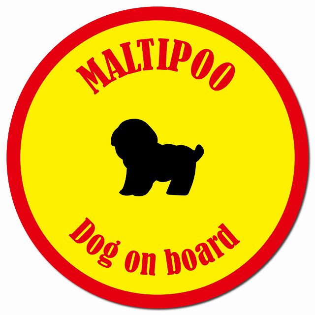 カラフル Dog on board マルプー イエロー&レッド マグネット 車用 直径13cm 丸型 カーマグネット