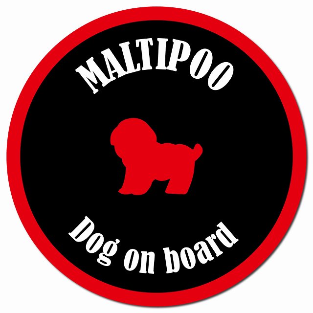 カラフル Dog on board マルプー ブラック&レッド マグネット 車用 直径13cm 丸型 カーマグネット