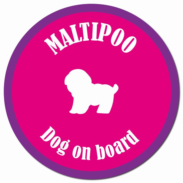 カラフル Dog on board マルプー ピンク&パープル マグネット 車用 直径13cm 丸型 カーマグネット