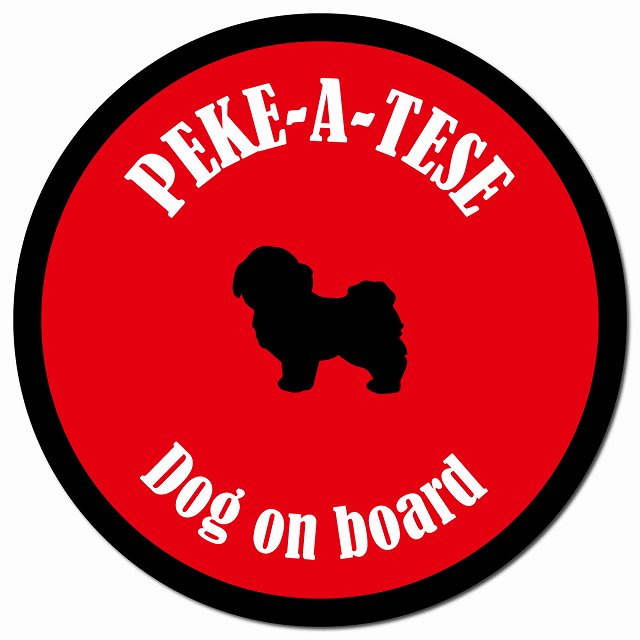 カラフル Dog on board マルペキ レッド＆ブラック マグネット 車用 直径13cm 丸型 カーマグネット