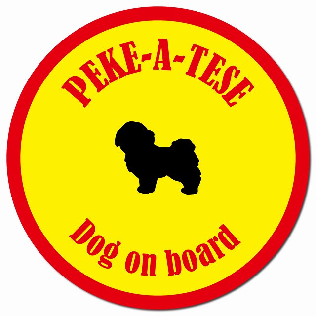 カラフル Dog on board マルペキ イエロー&レッド マグネット 車用 直径13cm 丸型 カーマグネット