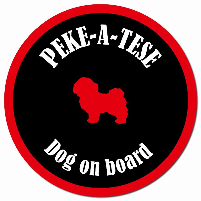 カラフル Dog on board マルペキ ブラック&レッド マグネット 車用 直径13cm 丸型 カーマグネット