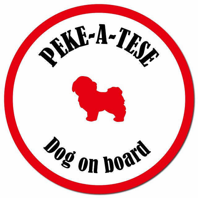 カラフル Dog on board マルペキ ホワイト&レッド マグネット 車用 直径13cm 丸型 カーマグネット