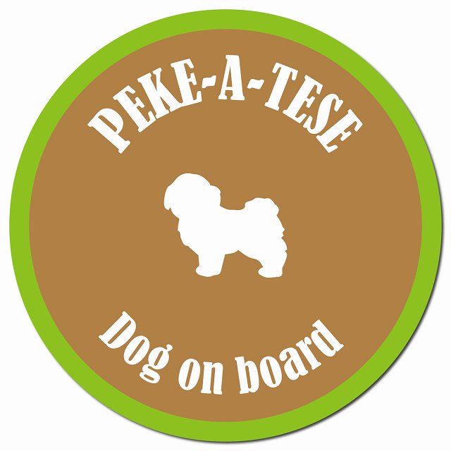 カラフル Dog on board マルペキ ブラウン&グリーン マグネット 車用 直径13cm 丸型 カーマグネット