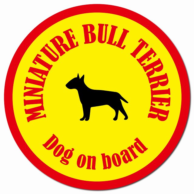 カラフル Dog on board ミニチュアブルテリア イエロー&レッド マグネット 車用 直径13cm 丸型 カーマグネット