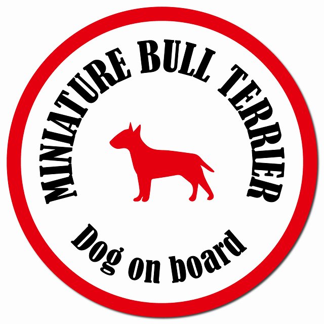 カラフル Dog on board ミニチュアブルテリア ホワイト&レッド マグネット 車用 直径13cm 丸型 カーマグネット