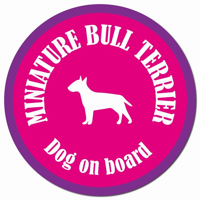カラフル Dog on board ミニチュアブルテリア ピンク&パープル マグネット 車用 直径13cm 丸型 カーマグネット