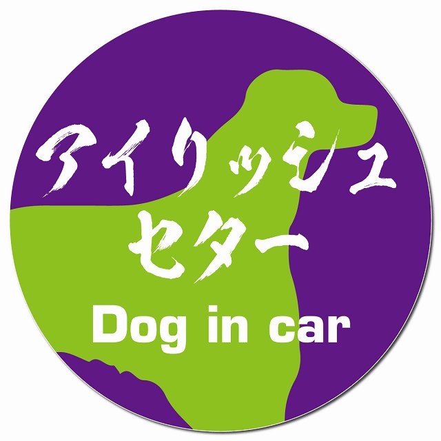 Dog in car アイリッシュセター 毛筆書体 パープルグリーン マグネット 車用 直径13cm 丸型 カーマグネット 表示プレート