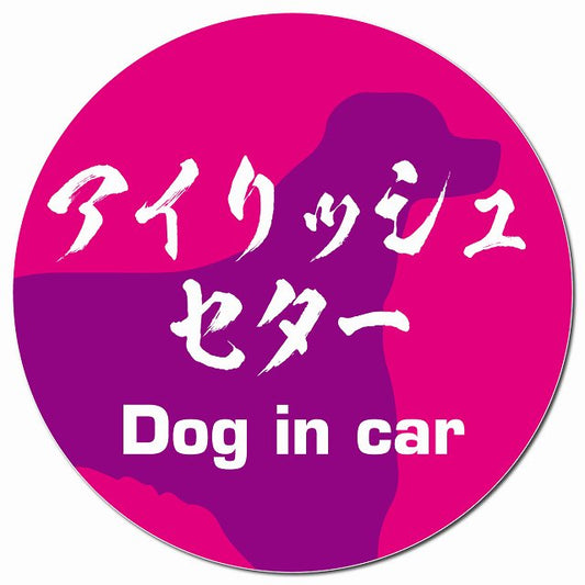 Dog in car アイリッシュセター 毛筆書体 ピンクパープル マグネット 車用 直径13cm 丸型 カーマグネット 表示プレート