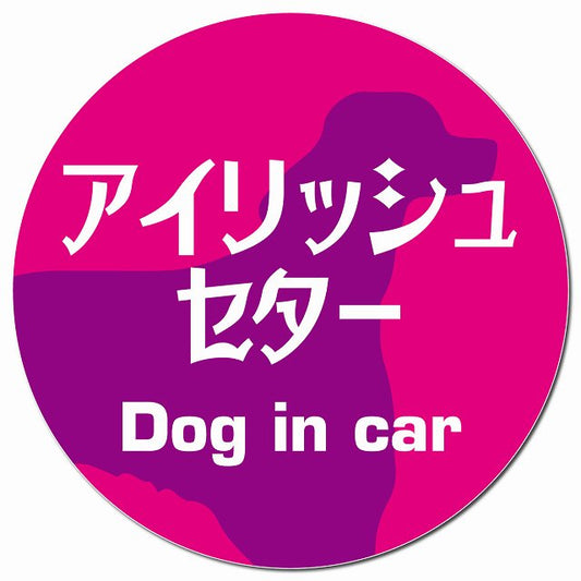 Dog in car アイリッシュセター レトロ書体 ピンクパープル マグネット 車用 直径13cm 丸型 カーマグネット 表示プレート