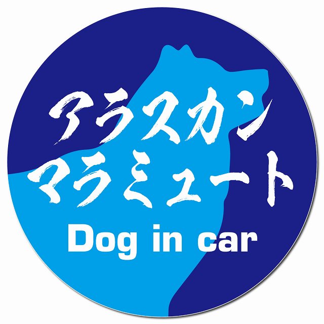 Dog in car アラスカンマラミュート 毛筆書体 ブルー マグネット 車用 直径13cm 丸型 カーマグネット 表示プレート