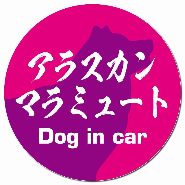 Dog in car アラスカンマラミュート 毛筆書体 ピンクパープル マグネット 車用 直径13cm 丸型 カーマグネット 表示プレート