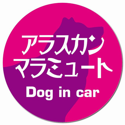 Dog in car アラスカンマラミュート レトロ書体 ピンクパープル マグネット 車用 直径13cm 丸型 カーマグネット 表示プレート
