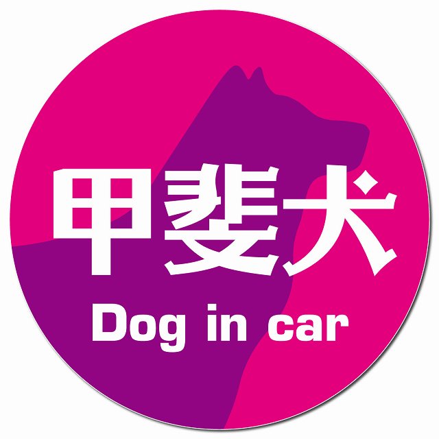 Dog in car 甲斐犬 レトロ書体 ピンクパープル マグネット 車用 直径13cm 丸型 カーマグネット 表示プレート