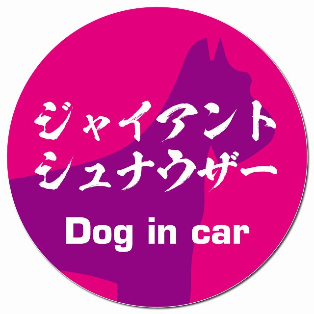 Dog in car ジャイアントシュナウザー 毛筆書体 ピンクパープル マグネット 車用 直径13cm 丸型 カーマグネット 表示プレート