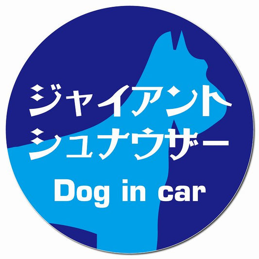 Dog in car ジャイアントシュナウザー レトロ書体 ブルー マグネット 車用 直径13cm 丸型 カーマグネット 表示プレート