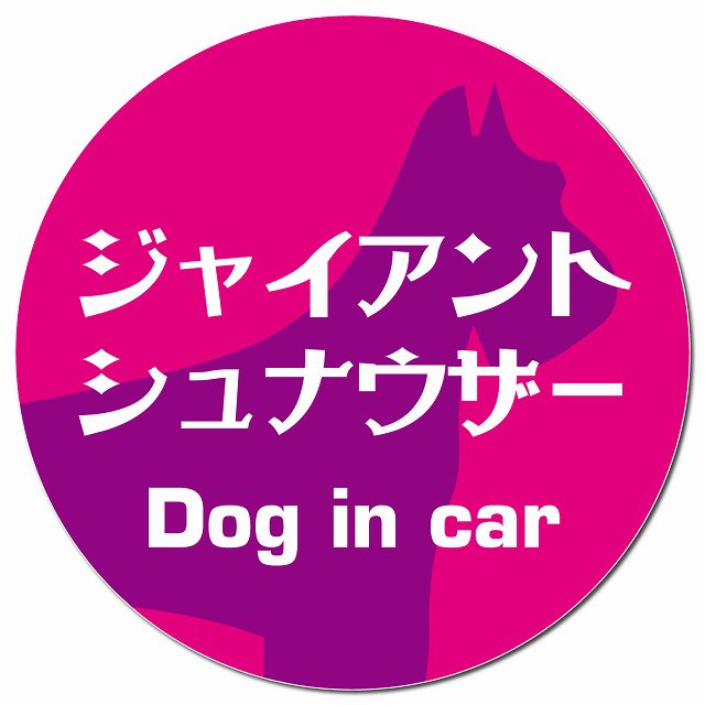 Dog in car ジャイアントシュナウザー レトロ書体 ピンクパープル マグネット 車用 直径13cm 丸型 カーマグネット 表示プレート