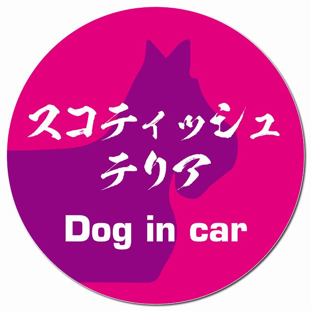 Dog in car スコティッシュテリア 毛筆書体 ピンクパープル マグネット 車用 直径13cm 丸型 カーマグネット 表示プレート