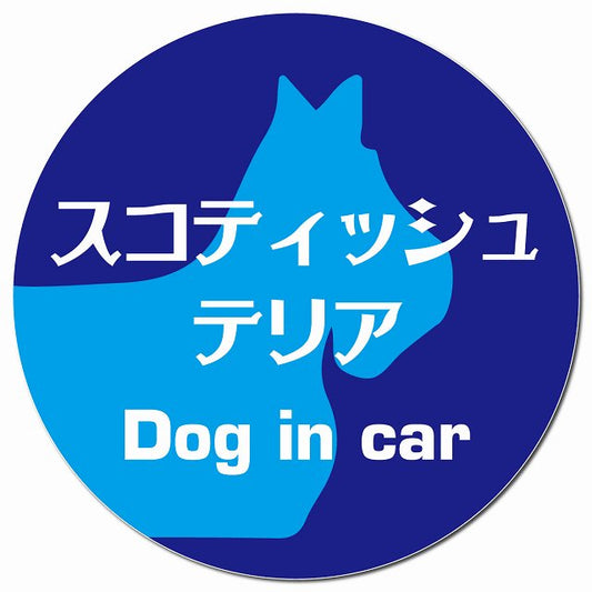 Dog in car スコティッシュテリア レトロ書体 ブルー マグネット 車用 直径13cm 丸型 カーマグネット 表示プレート