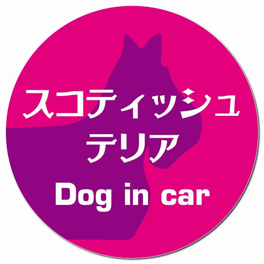 Dog in car スコティッシュテリア レトロ書体 ピンクパープル マグネット 車用 直径13cm 丸型 カーマグネット 表示プレート