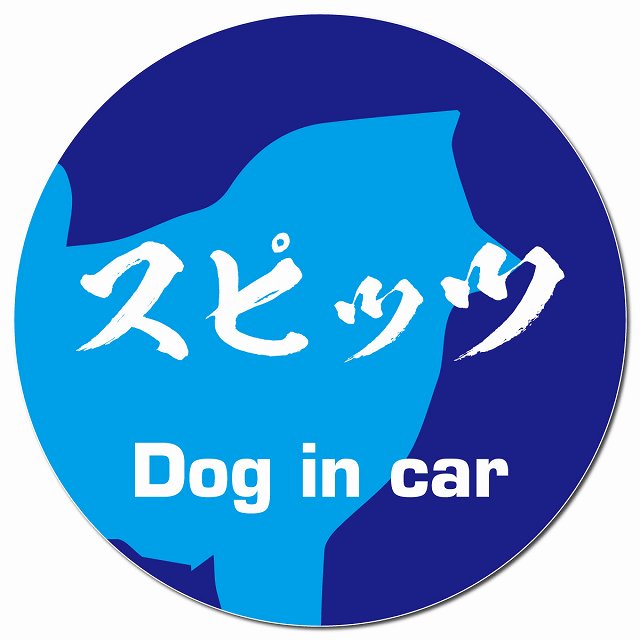 Dog in car スピッツ 毛筆書体 ブルー マグネット 車用 直径13cm 丸型 カーマグネット 表示プレート