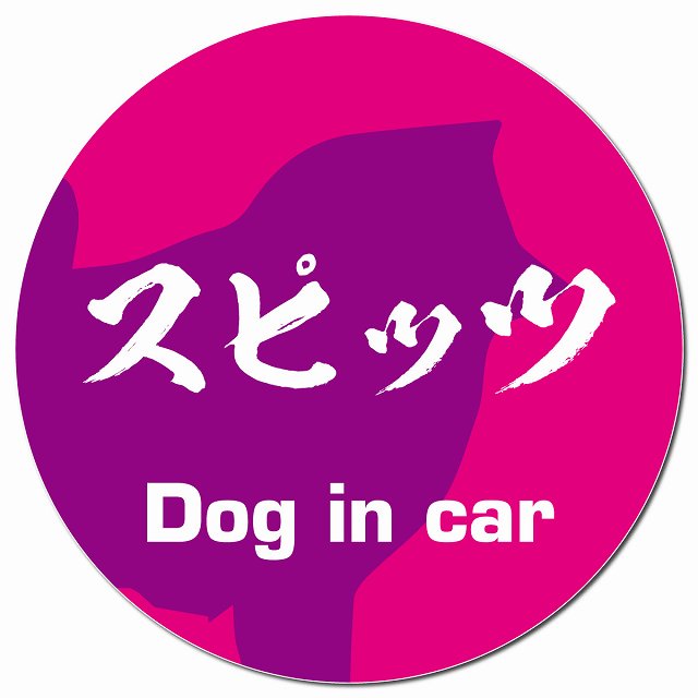 Dog in car スピッツ 毛筆書体 ピンクパープル マグネット 車用 直径13cm 丸型 カーマグネット 表示プレート