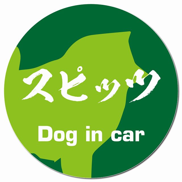 Dog in car スピッツ 毛筆書体 グリーン マグネット 車用 直径13cm 丸型 カーマグネット 表示プレート