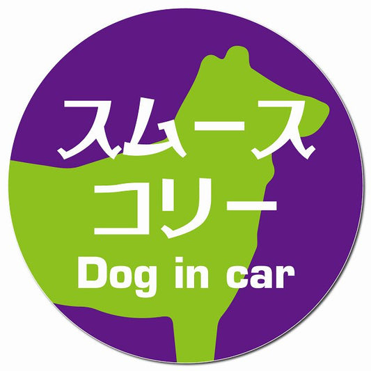 Dog in car スムースコリー レトロ書体 パープルグリーン マグネット 車用 直径13cm 丸型 カーマグネット 表示プレート