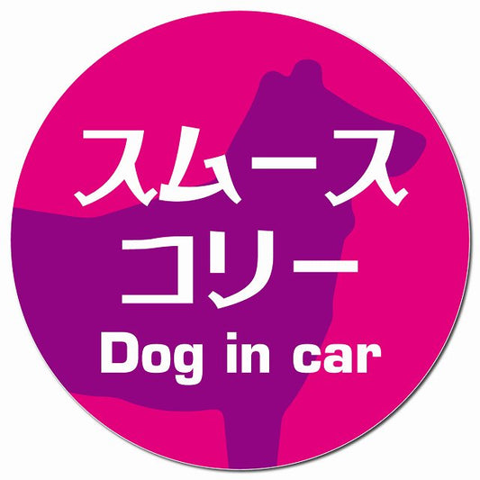 Dog in car スムースコリー レトロ書体 ピンクパープル マグネット 車用 直径13cm 丸型 カーマグネット 表示プレート