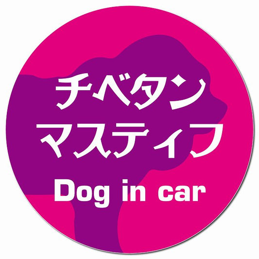 Dog in car チベタンマスティフ レトロ書体 ピンクパープル マグネット 車用 直径13cm 丸型 カーマグネット 表示プレート
