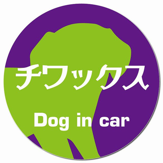 Dog in car チワックス レトロ書体 パープルグリーン マグネット 車用 直径13cm 丸型 カーマグネット 表示プレート