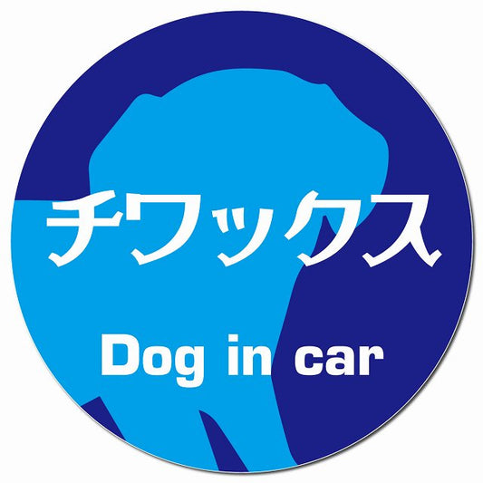 Dog in car チワックス レトロ書体 ブルー マグネット 車用 直径13cm 丸型 カーマグネット 表示プレート