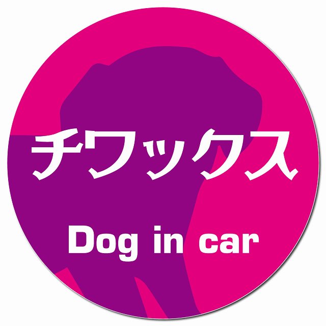 Dog in car チワックス レトロ書体 ピンクパープル マグネット 車用 直径13cm 丸型 カーマグネット 表示プレート