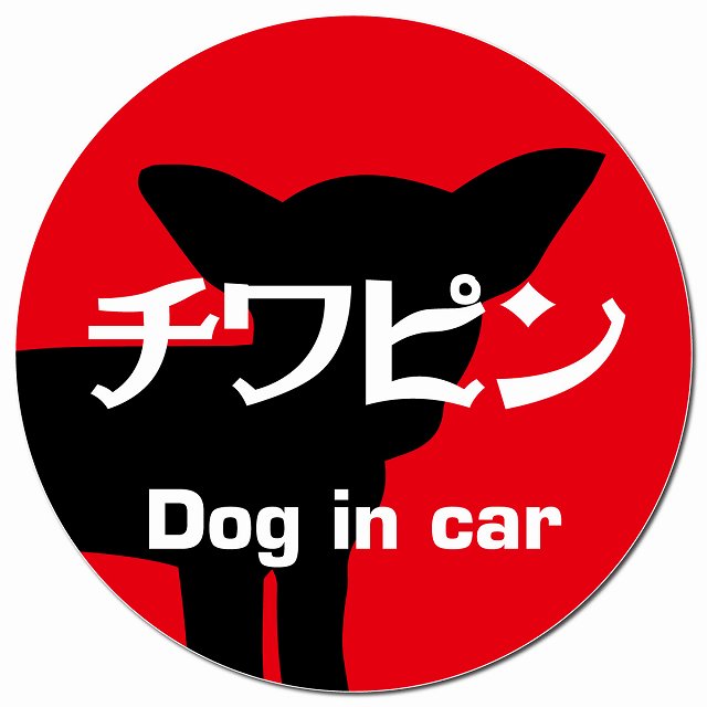 Dog in car チワピン レトロ書体 レッド マグネット 車用 直径13cm 丸型 カーマグネット 表示プレート