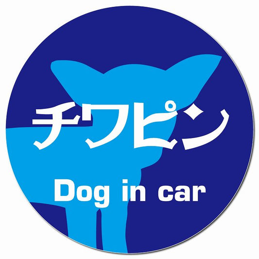 Dog in car チワピン レトロ書体 ブルー マグネット 車用 直径13cm 丸型 カーマグネット 表示プレート