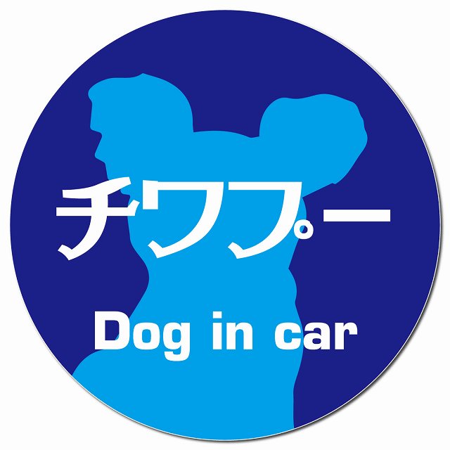 Dog in car チワプー レトロ書体 ブルー マグネット 車用 直径13cm 丸型 カーマグネット 表示プレート